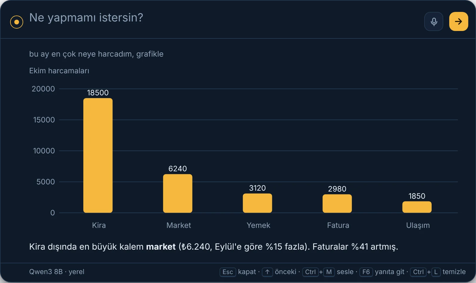 NexaPilot Excel'deki harcamaları çubuk grafikle gösteriyor